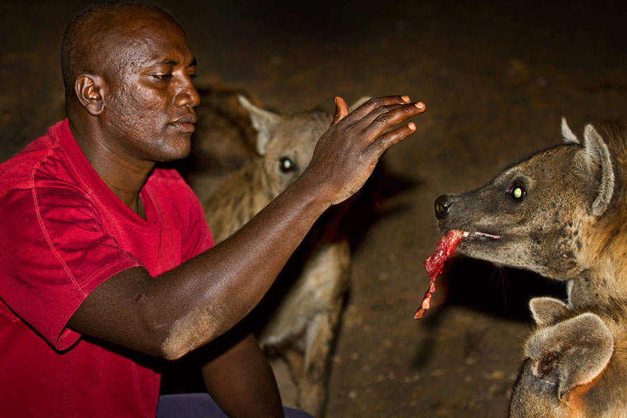 263   Hyena man of Harar   Ethiopia